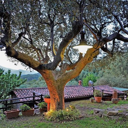 Вилла Terrazza Degli Angeli Ашеа Экстерьер фото